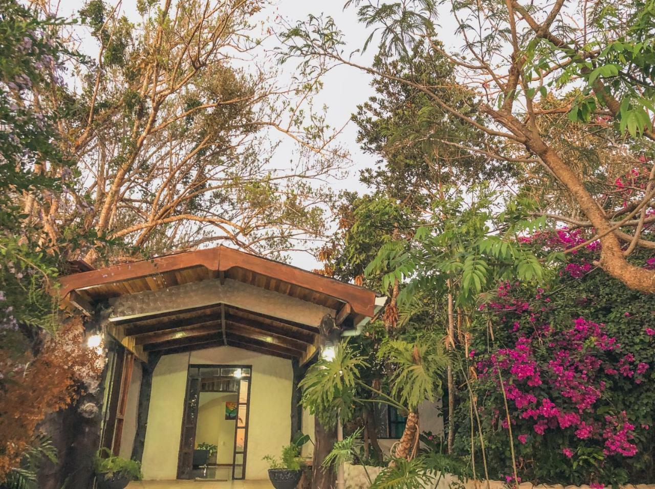 Monte Fresco Hostel Boutique Puntarenas Bagian luar foto