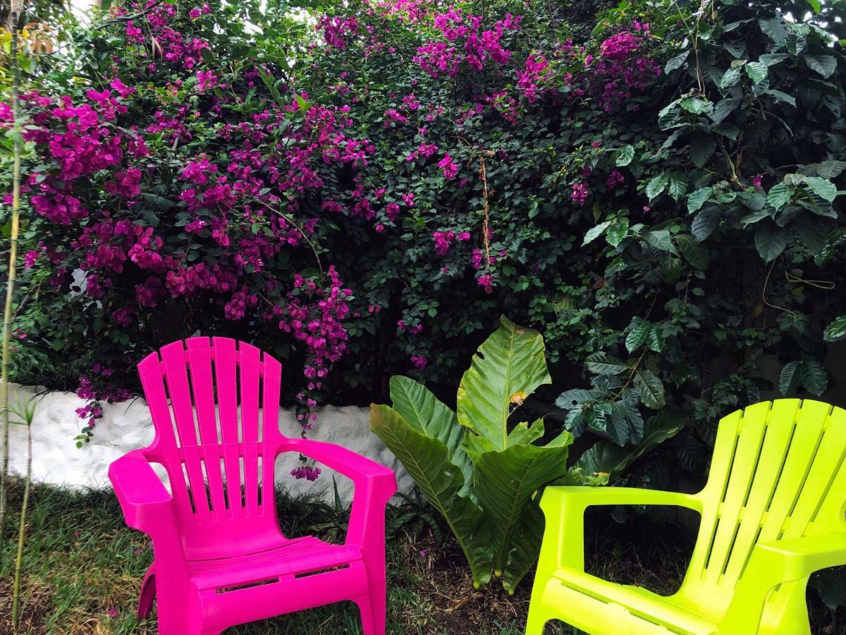Monte Fresco Hostel Boutique Puntarenas Bagian luar foto